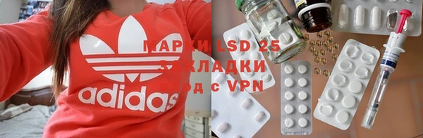 дурь Каменка